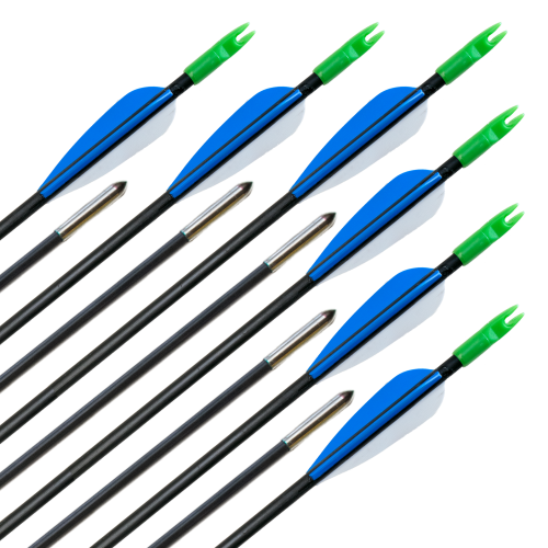 Carbon Pfeile Archery Club 5.5mm 12Stk.