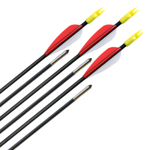 Carbon Pfeile Archery Club 5mm 6Stk.