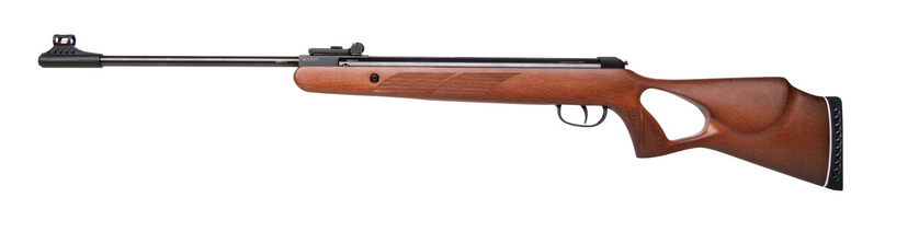 Diana two-fifty 22J Lochschaft Holz 4,5mm