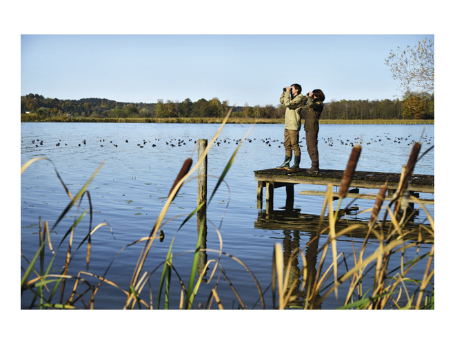 Swarovski SLC 10 x 56