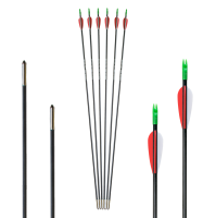 Arch.Club Carbon 6,0mm 30\\"         1Stk.