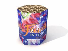 Fire Flowers in the Sky 19Sch.