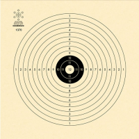 LG Scheibe.12er 100Stk. 14x14 (1370)