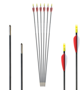 Archery Club Carbon 5,0mm 30\\"         1Stk.