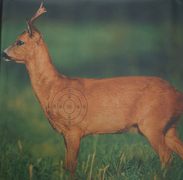 Jagdprüfung Scheibe REHBOCK.86x122+Sp10STk.
