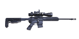 B.L.A.C.K. S.N.I.P.E.R V Enterprise