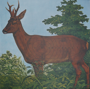 Jagdscheibe Öst.REHBOCK.86x122+Spiegel10STk.